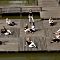 fam-and-friends-4.jpg